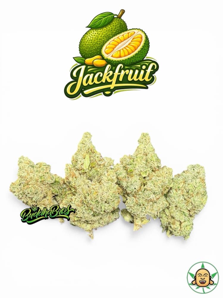 Jackfruit by BuddhaBrossLA