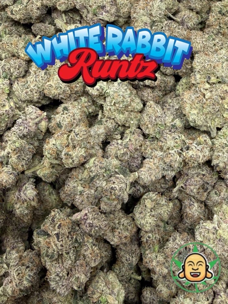 White Rabbit Runtzz by BuddhaBrosLA