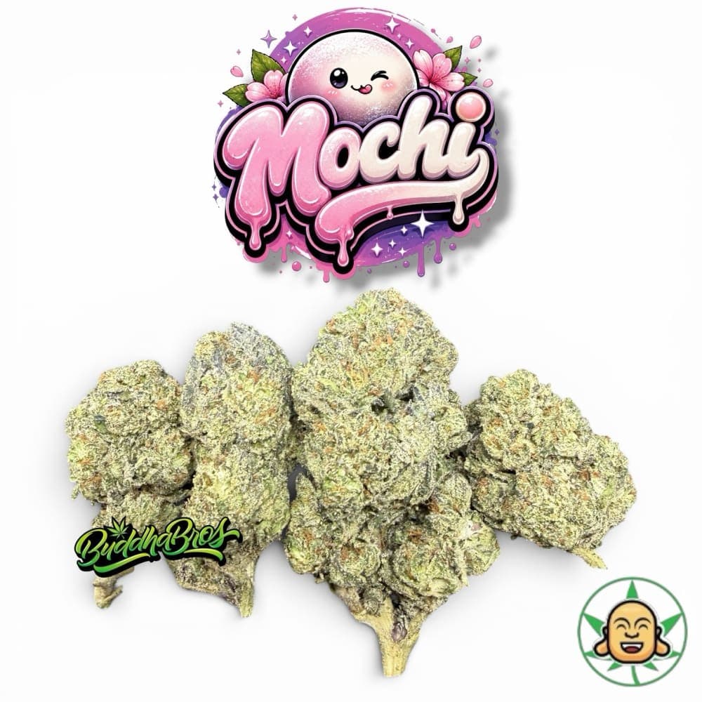 Mochi
