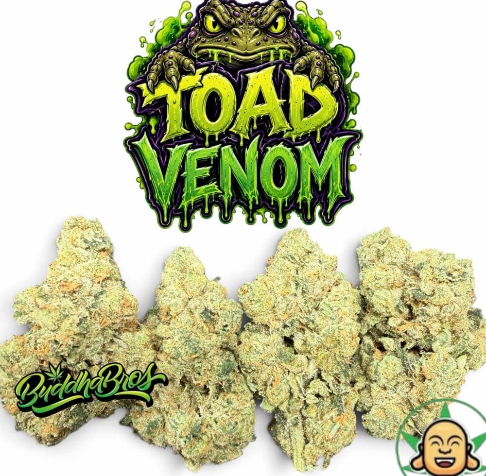 Toad Venom