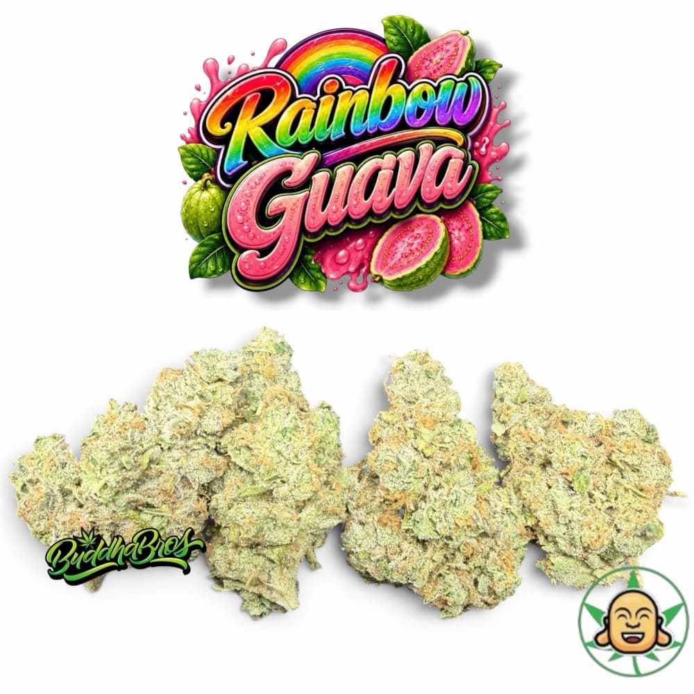 Rainbow Guava