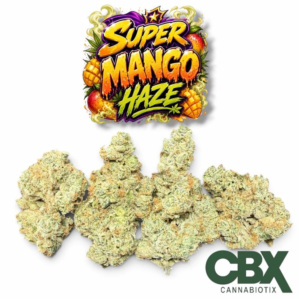 Super Mango Haze CBX Farms